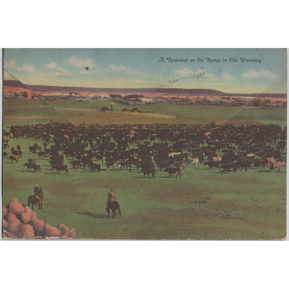 Vintage 1952 Lincoln Highway US 30 Wyoming Tree Rock Linen Postcard - Picture 2 of 2